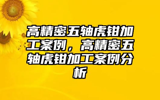 高精密五軸虎鉗加工案例，高精密五軸虎鉗加工案例分析