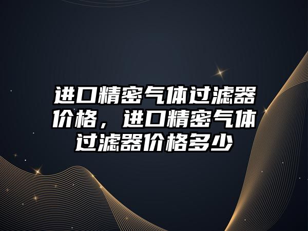 進口精密氣體過濾器價格，進口精密氣體過濾器價格多少