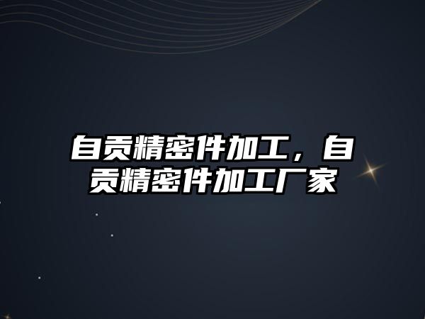 自貢精密件加工，自貢精密件加工廠家