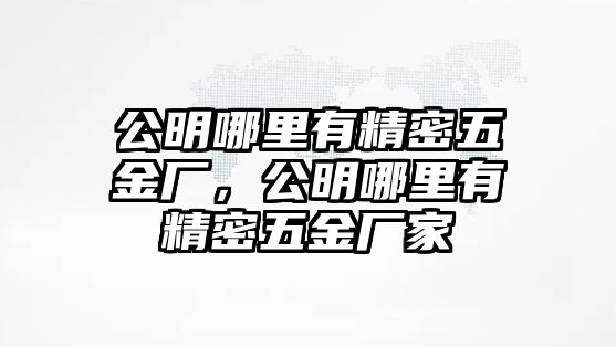 公明哪里有精密五金廠，公明哪里有精密五金廠家