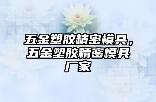 五金塑膠精密模具，五金塑膠精密模具廠家