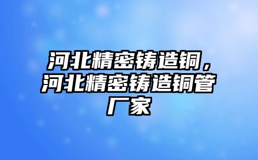 河北精密鑄造銅，河北精密鑄造銅管廠家