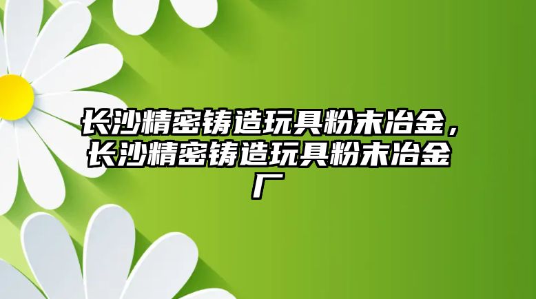 長(zhǎng)沙精密鑄造玩具粉末冶金，長(zhǎng)沙精密鑄造玩具粉末冶金廠