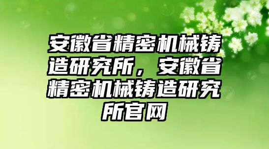 安徽省精密機械鑄造研究所，安徽省精密機械鑄造研究所官網(wǎng)