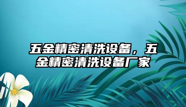 五金精密清洗設(shè)備，五金精密清洗設(shè)備廠家