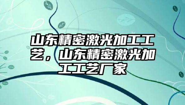 山東精密激光加工工藝，山東精密激光加工工藝廠家