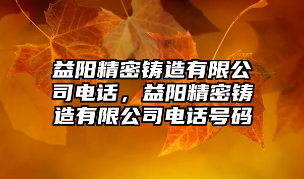 益陽精密鑄造有限公司電話，益陽精密鑄造有限公司電話號碼