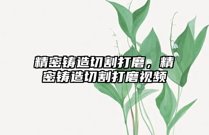 精密鑄造切割打磨，精密鑄造切割打磨視頻