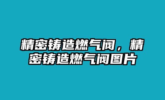 精密鑄造燃?xì)忾y，精密鑄造燃?xì)忾y圖片