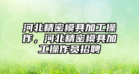 河北精密模具加工操作，河北精密模具加工操作員招聘