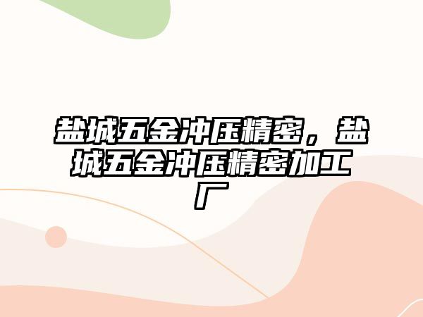 鹽城五金沖壓精密，鹽城五金沖壓精密加工廠(chǎng)