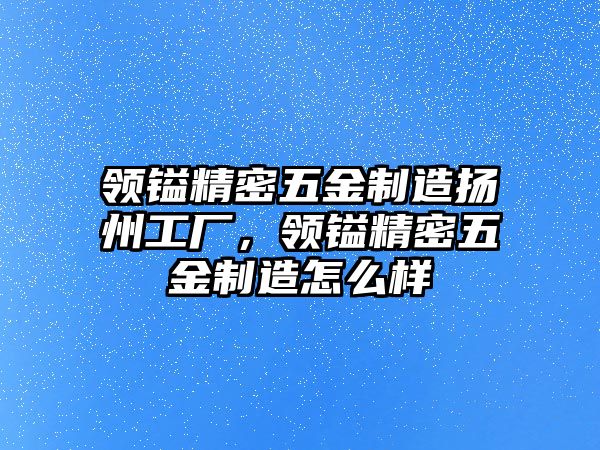 領(lǐng)鎰精密五金制造揚(yáng)州工廠，領(lǐng)鎰精密五金制造怎么樣