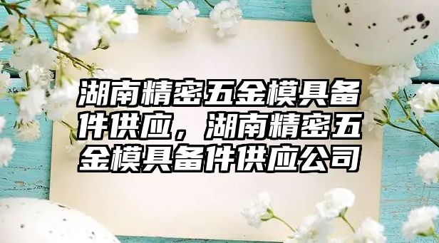 湖南精密五金模具備件供應(yīng)，湖南精密五金模具備件供應(yīng)公司