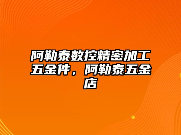 阿勒泰數(shù)控精密加工五金件，阿勒泰五金店