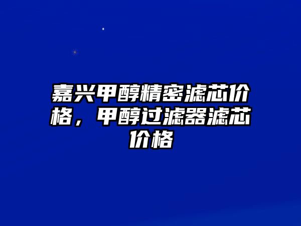 嘉興甲醇精密濾芯價(jià)格，甲醇過濾器濾芯價(jià)格