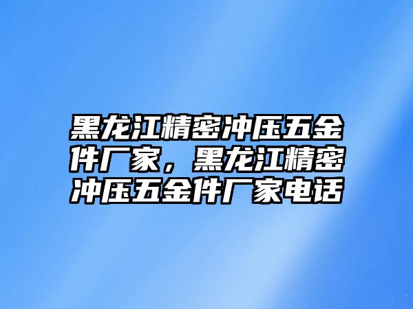 黑龍江精密沖壓五金件廠家，黑龍江精密沖壓五金件廠家電話