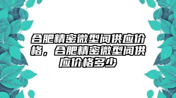 合肥精密微型閥供應價格，合肥精密微型閥供應價格多少