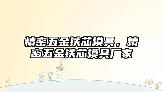 精密五金鐵芯模具，精密五金鐵芯模具廠家