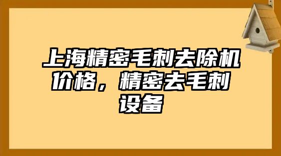 上海精密毛刺去除機價格，精密去毛刺設(shè)備