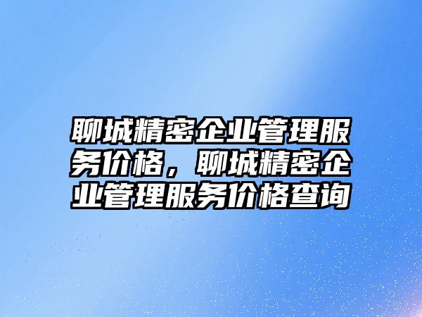 聊城精密企業(yè)管理服務價格，聊城精密企業(yè)管理服務價格查詢