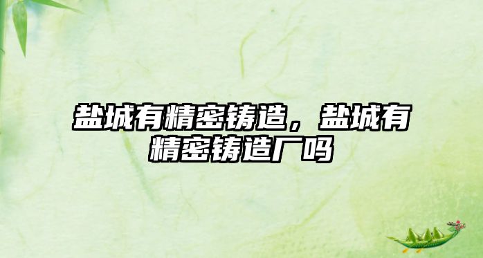 鹽城有精密鑄造，鹽城有精密鑄造廠嗎