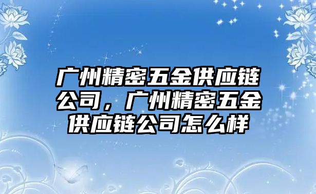 廣州精密五金供應鏈公司，廣州精密五金供應鏈公司怎么樣