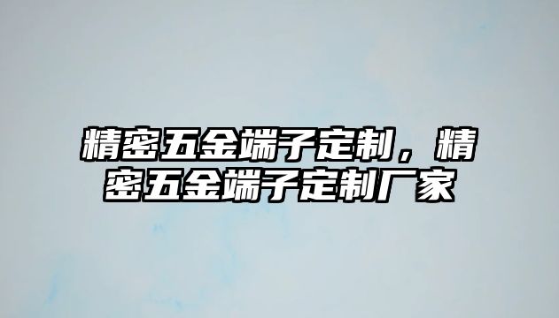 精密五金端子定制，精密五金端子定制廠家