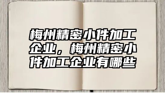 梅州精密小件加工企業(yè)，梅州精密小件加工企業(yè)有哪些