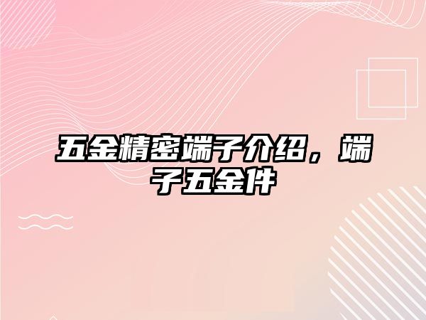 五金精密端子介紹，端子五金件