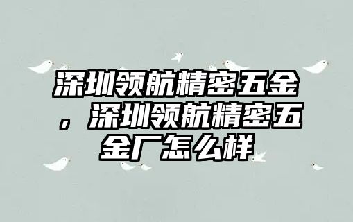 深圳領航精密五金，深圳領航精密五金廠怎么樣