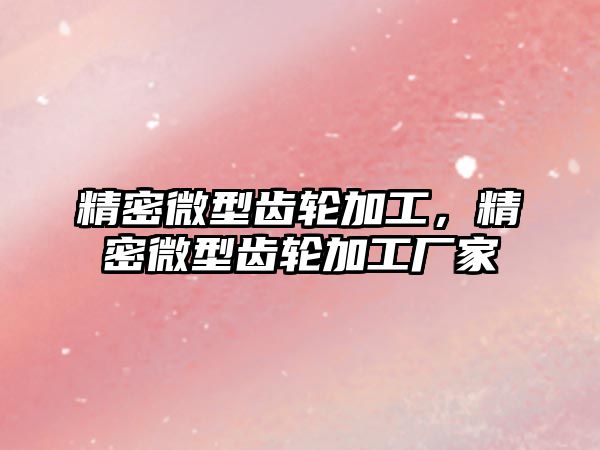 精密微型齒輪加工，精密微型齒輪加工廠家