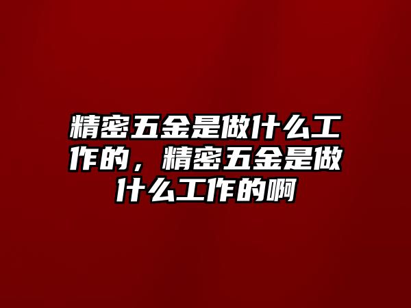 精密五金是做什么工作的，精密五金是做什么工作的啊