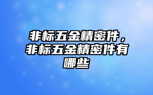 非標(biāo)五金精密件，非標(biāo)五金精密件有哪些