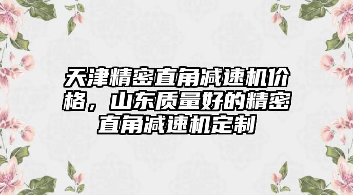 天津精密直角減速機價格，山東質量好的精密直角減速機定制