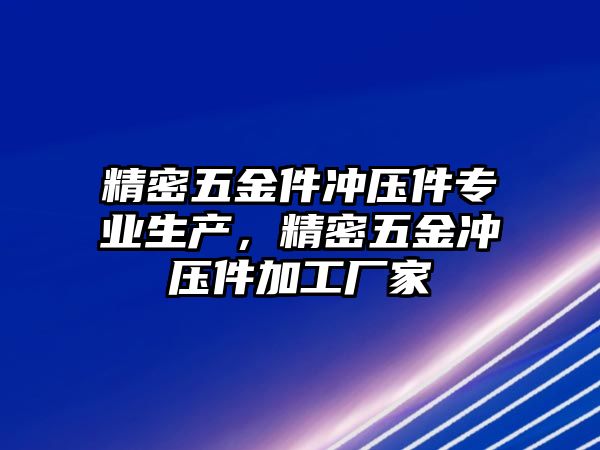 精密五金件沖壓件專業(yè)生產(chǎn)，精密五金沖壓件加工廠家