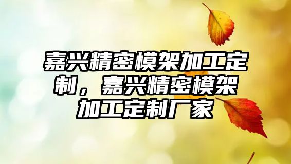 嘉興精密模架加工定制，嘉興精密模架加工定制廠家