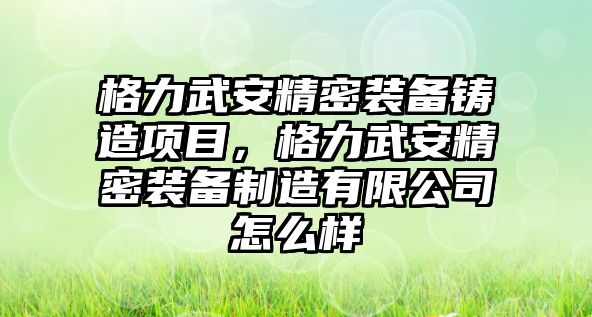 格力武安精密裝備鑄造項(xiàng)目，格力武安精密裝備制造有限公司怎么樣