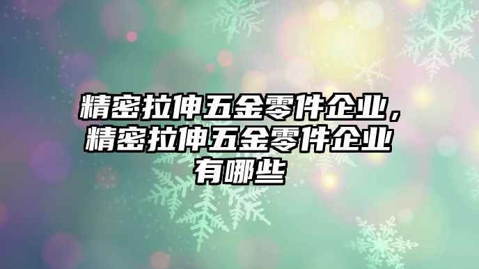 精密拉伸五金零件企業(yè)，精密拉伸五金零件企業(yè)有哪些