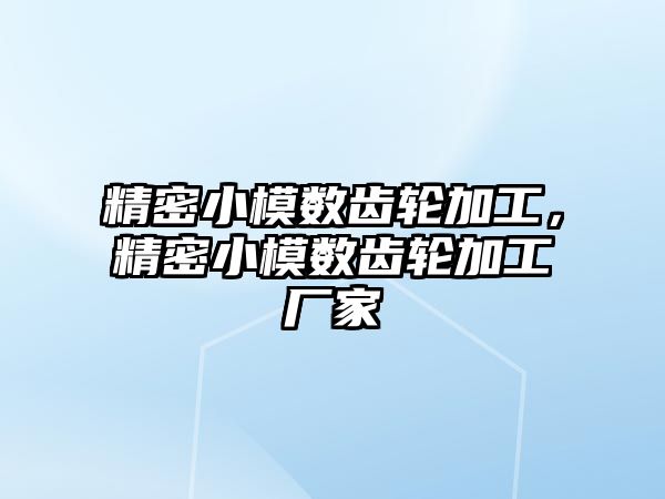 精密小模數(shù)齒輪加工，精密小模數(shù)齒輪加工廠家