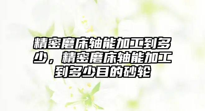 精密磨床軸能加工到多少，精密磨床軸能加工到多少目的砂輪