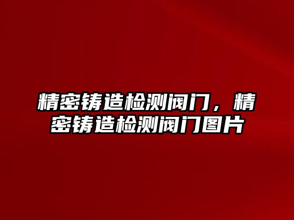 精密鑄造檢測(cè)閥門，精密鑄造檢測(cè)閥門圖片