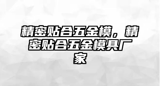 精密貼合五金模，精密貼合五金模具廠家