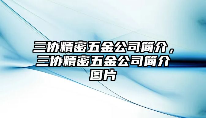 三協(xié)精密五金公司簡(jiǎn)介，三協(xié)精密五金公司簡(jiǎn)介圖片