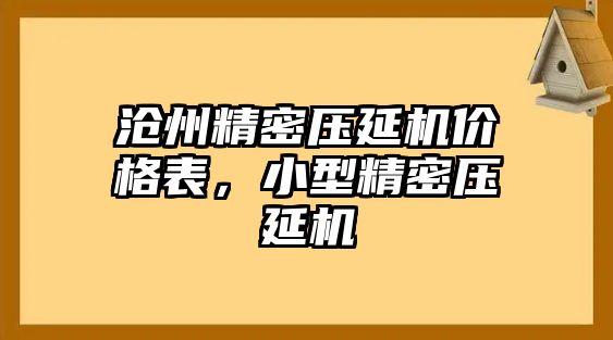 滄州精密壓延機(jī)價(jià)格表，小型精密壓延機(jī)