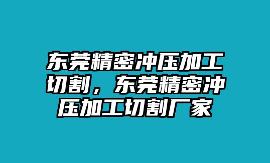 東莞精密沖壓加工切割，東莞精密沖壓加工切割廠家