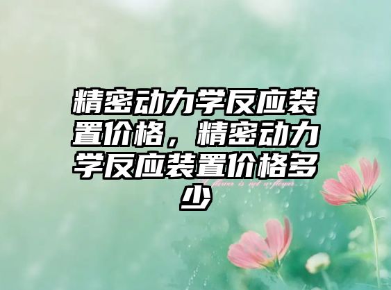 精密動力學反應裝置價格，精密動力學反應裝置價格多少