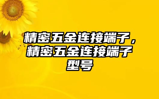 精密五金連接端子，精密五金連接端子型號(hào)