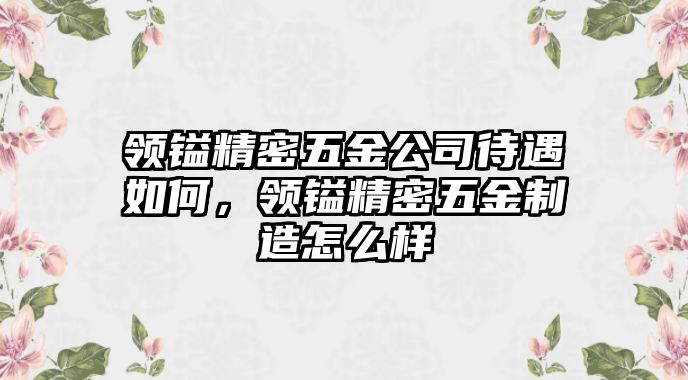 領(lǐng)鎰精密五金公司待遇如何，領(lǐng)鎰精密五金制造怎么樣