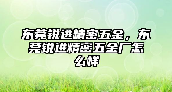 東莞銳進精密五金，東莞銳進精密五金廠怎么樣