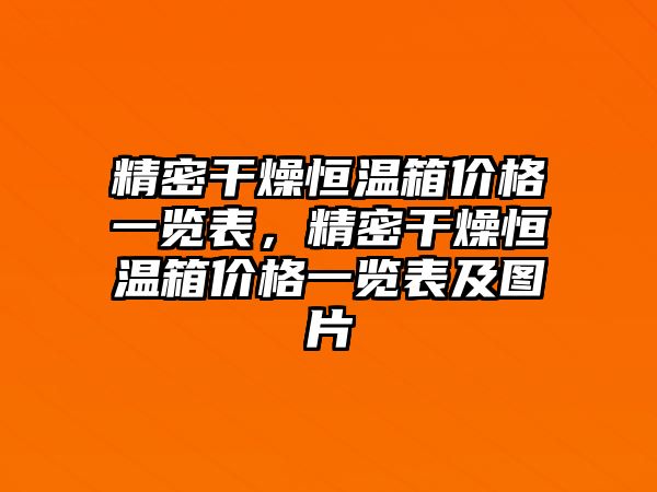 精密干燥恒溫箱價格一覽表，精密干燥恒溫箱價格一覽表及圖片